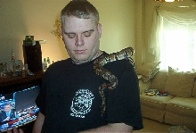 Ball python 3